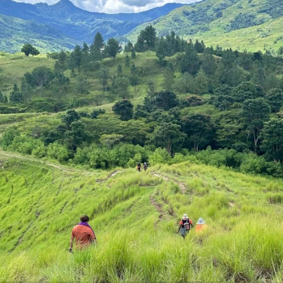 Nadi: Waterfall Tour Adventure with Refreshments and Lunch - Feeding farm animals and choosing your return