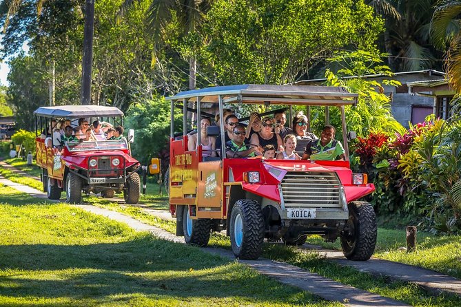 Naihehe Cave Safari in Sigatoka with BBQ Lunch - Timing, transport, and who should book