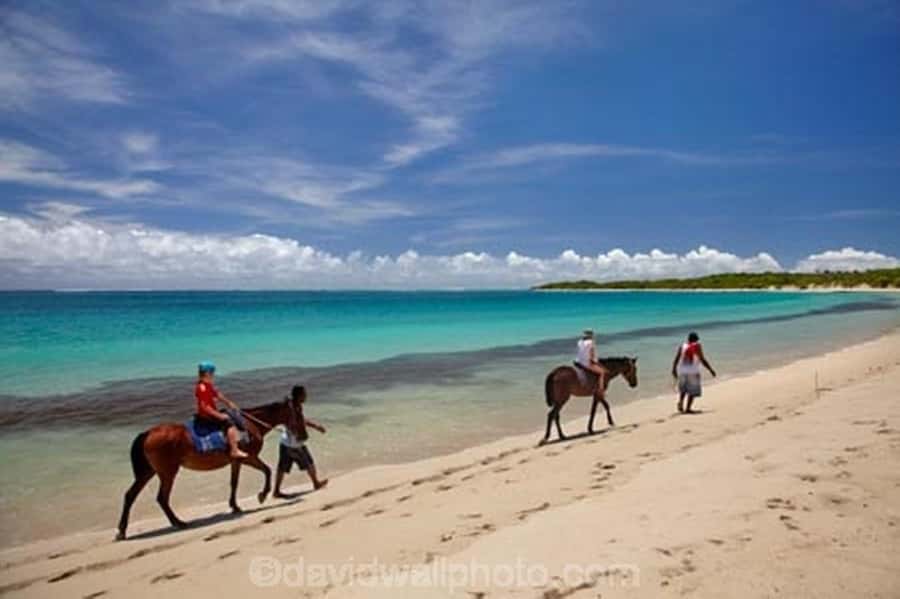 Natadola Beach Tour With Tifajek Mud Pool & Hotspring - Group size and service can vary