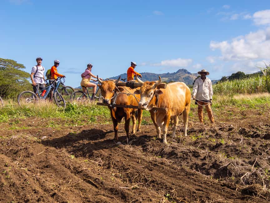Off-road E-bike Tour with Local Guides - From the Adventure Hub to Fiji’s back roads