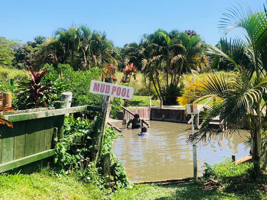 Official: Sabeto Hotspring and Mud Pool Tours & Tickets - Finding the right hot spring site