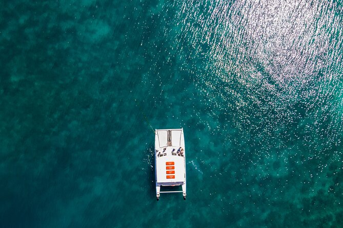 Oolala Cruises on Savala Island - Booking, cancellation, and timing advice