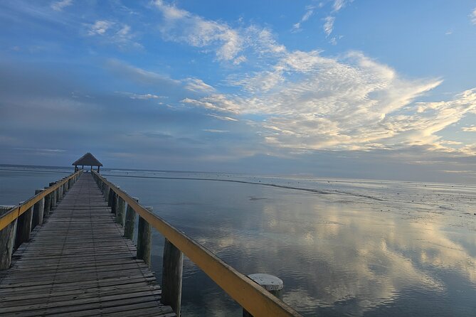 Premier Transfers and Tours Fiji - Inside the air-conditioned private vehicle