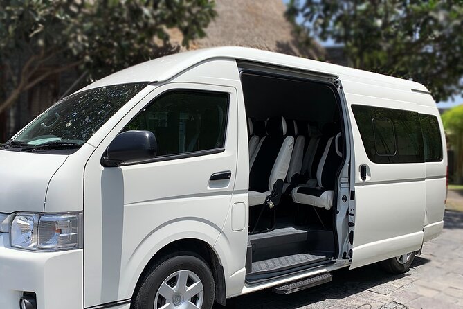 Private Airport Transfer: Nadi Airport to Hotel - Drivers who add useful local help