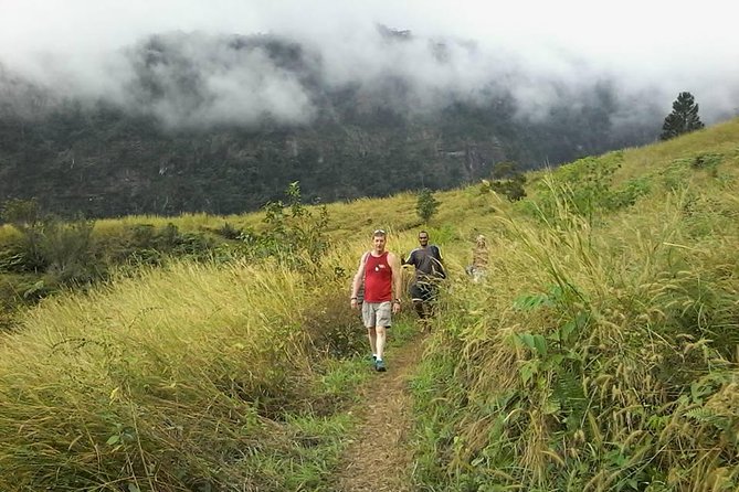 Private Breathtaking Koroyanitu Half Day Waterfall Hike - Key details at a glance