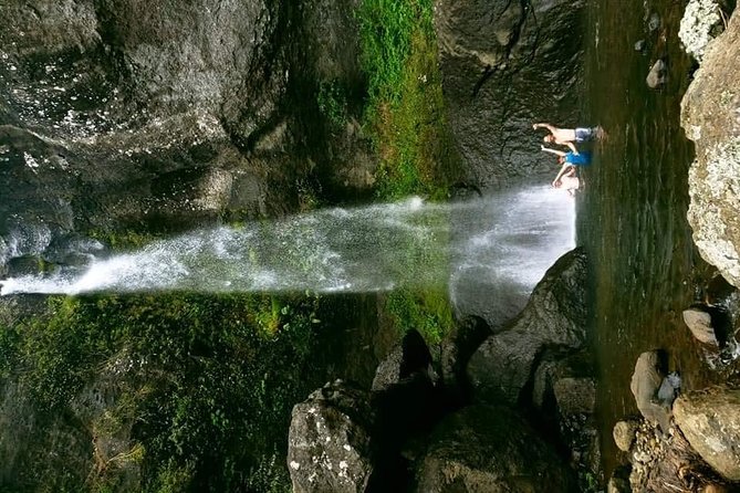 Private Breathtaking Koroyanitu Half Day Waterfall Hike - The waterfall stop and a possible swim