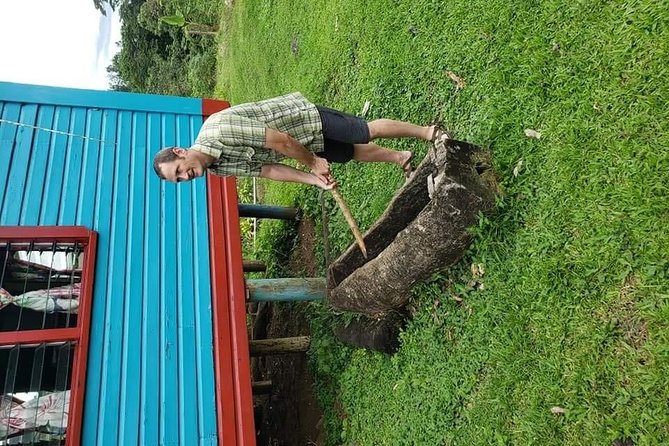 Private Breathtaking Koroyanitu Half Day Waterfall Hike - Price, timing, and who gets good value
