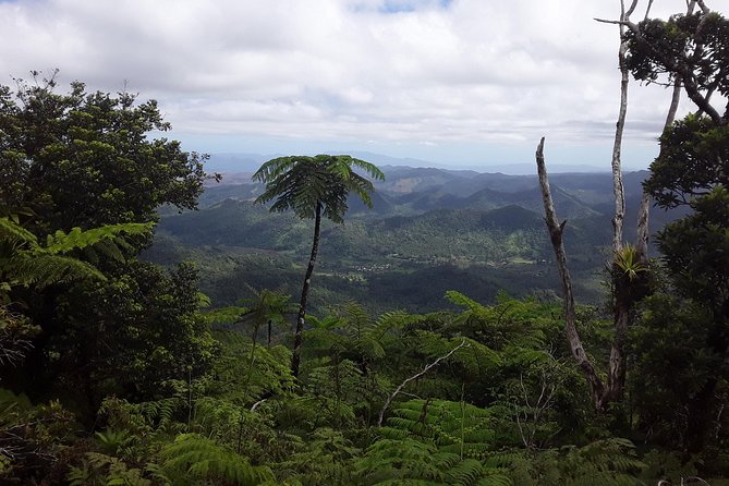 Private Breathtaking Mnt Victoria Day Trek - Six hours on Mount Tomanivi