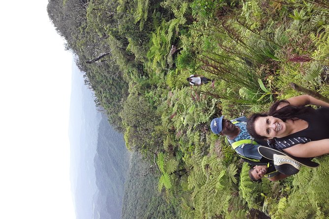 Private Breathtaking Mnt Victoria Day Trek - What the private format is worth at $329.25