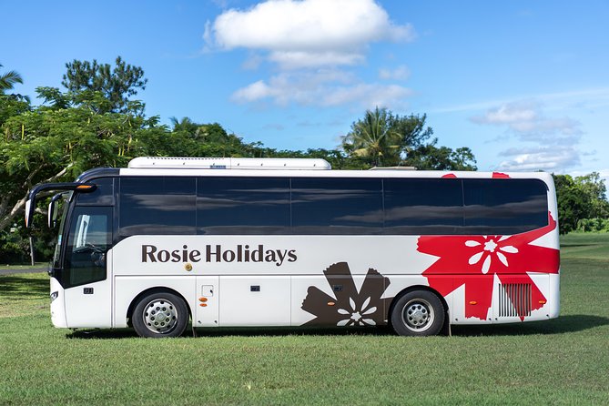 Private Premium Departure Transfer : Hotel to Nadi Airport - Timing your pickup for a real flight