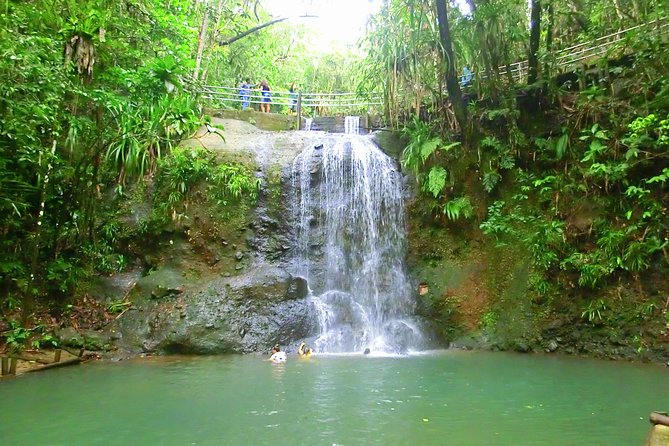 Private Suva Nature and Waterfall Tour - Waisila Falls and the natural swimming pools