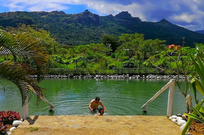 Private Tour: Best of Nadi Highlights - Mud, heat, and the Sabeto hot springs