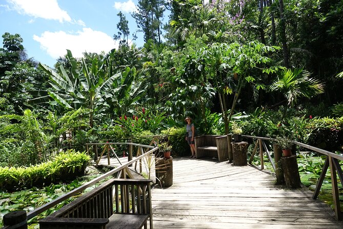 Private Tour: Best of Nadi Highlights - Why the private format matters