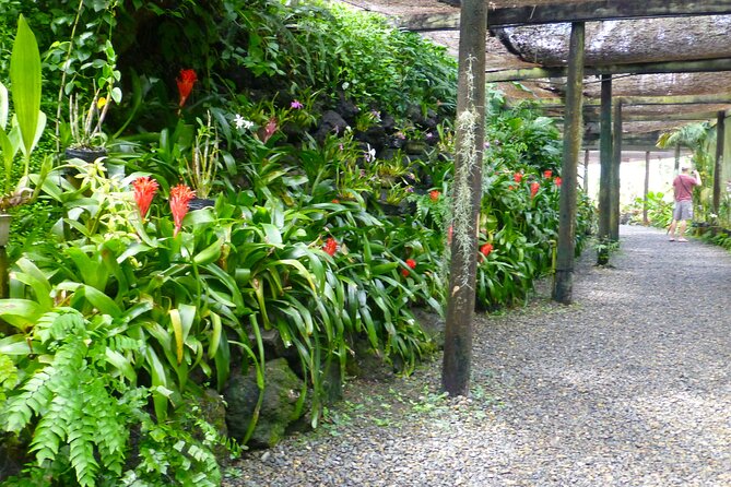 Private Tour: Best of Nadi Highlights - Guides can shape the whole day