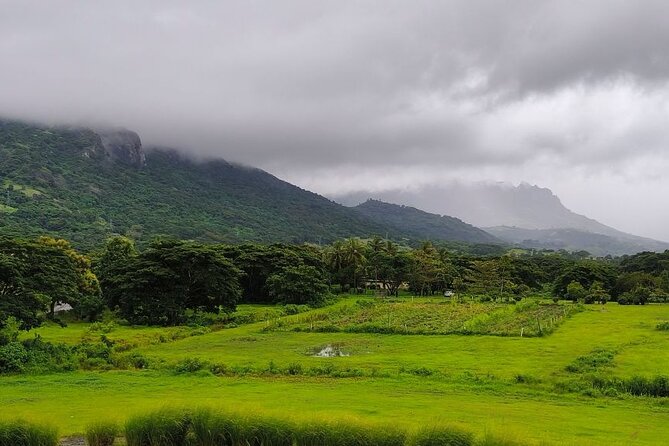 Private Tour: Best of Nadi Highlights - Local crafts, produce, and everyday Nadi