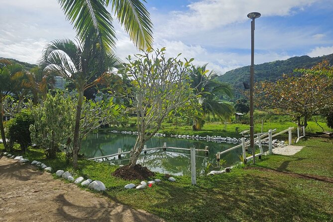 Private Tour: Hot spings & Sleeping Giant Garden hiking Adventure - Why the private format can be worth $82.31