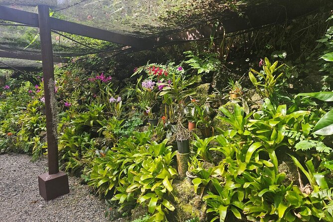 Private Tour: Hot spings & Sleeping Giant Garden hiking Adventure - Timing, transfers, and the shape of the day