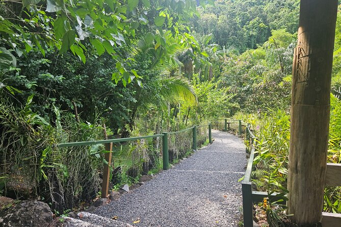 Private Tour: Hot spings & Sleeping Giant Garden hiking Adventure - What to pack for the mud, water, and garden paths