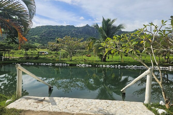 Private Tour: Hot spings & Sleeping Giant Garden hiking Adventure - Who will enjoy this Nadi excursion most