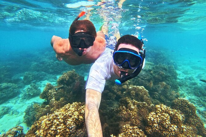 Ride & Slide by South Sea Cats - Half Day Snorkelling Trip - An afternoon lunch that earns its place