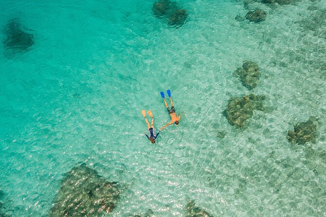 Ride & Slide by South Sea Cats - Half Day Snorkelling Trip - What the $107.10 price includes