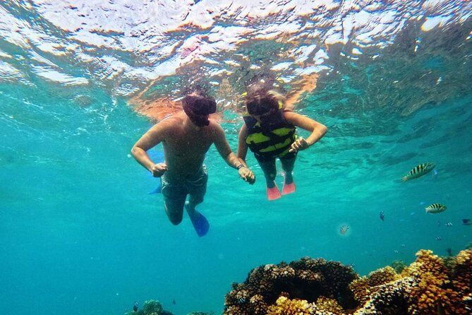 Ride & Slide by South Sea Cats - Half Day Snorkelling Trip - Who will enjoy this trip most