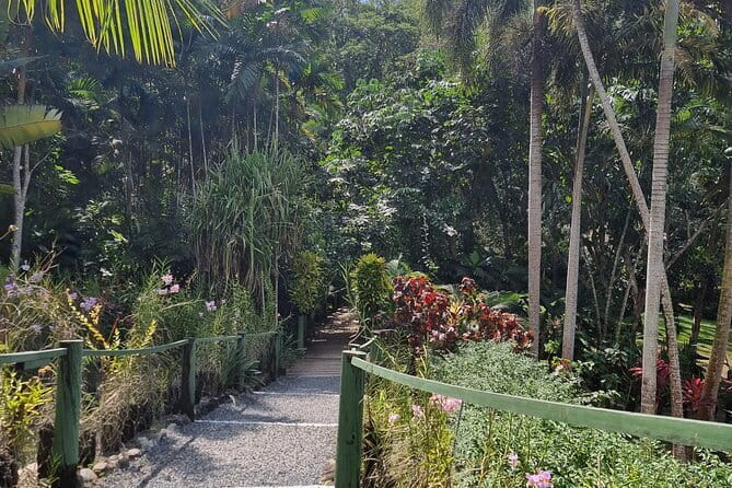 Round The Island Day Trip Fiji- Viti Levu - Pacific Harbour and the Pacific Art Village