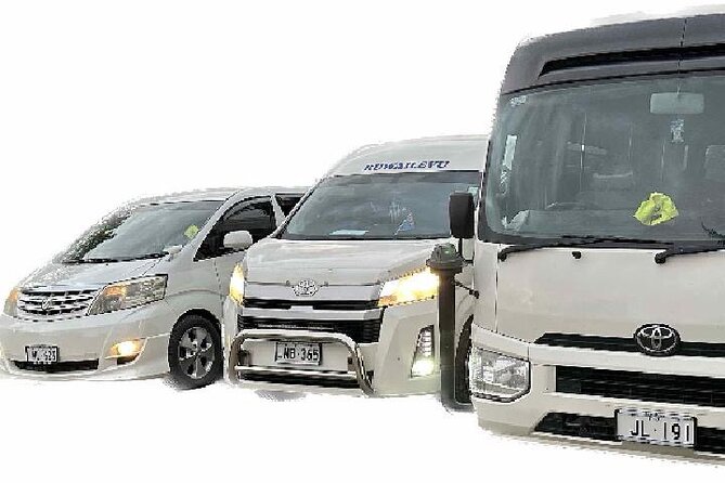 Round Trip Transfer-Nadi Airport to Denarau Island Resorts - What the driver service feels like