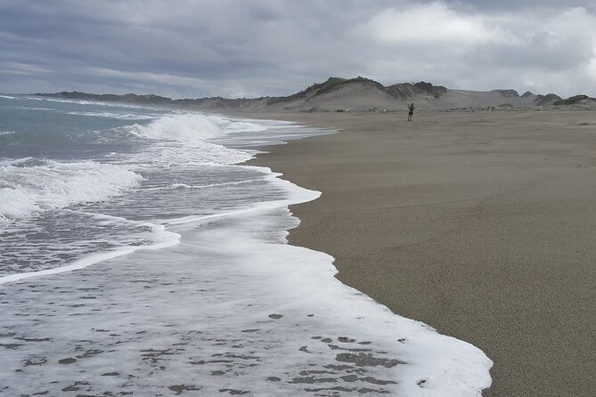 Sand Dunes National Heritage Park& Natadola Beach Half Day Tour - Walking the Sigatoka Sand Dunes National Park