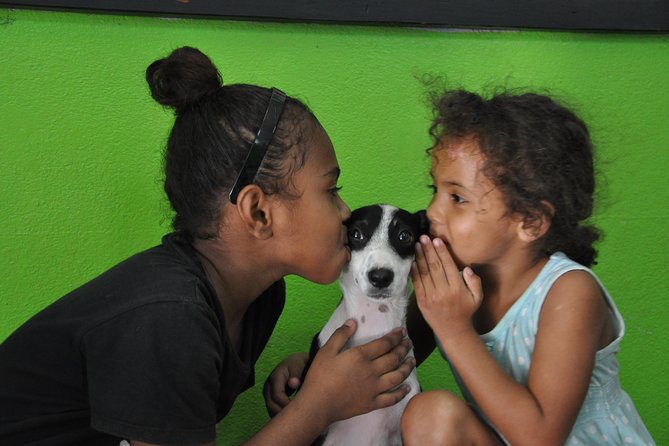 Shelter Visit & Tour - Why this Nadi visit matters
