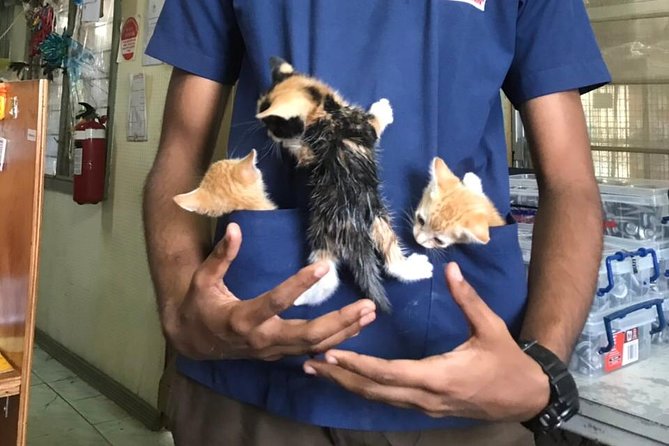 Shelter Visit & Tour - Booking, cancellation, and what to bring