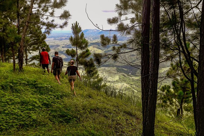 Small Group Hiking Adventure - Hidden Peaks - Plants, traditional medicine, and the forest