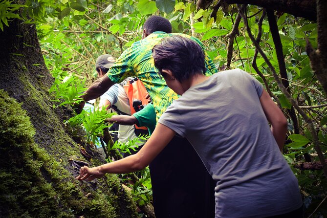 Small Group Hiking Adventure - Hidden Peaks - The waterfall stop and the best cool-down of the day