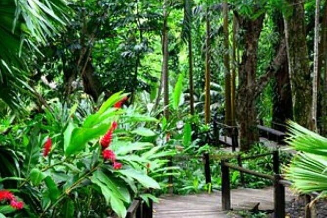 South Sea Island Half Day with Lunch & Drinks - Practical details before you go