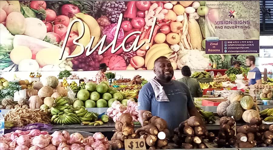 Suva Cruise Ship Tour - Driver-guide quality and the private vehicle
