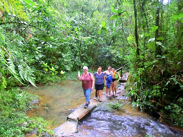 Suva Customized tour- Private - A Flexible Way To See Suva