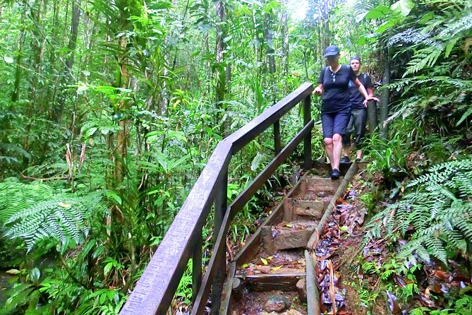 Suva Customized tour- Private - Is $108.18 Per Person Good Value?