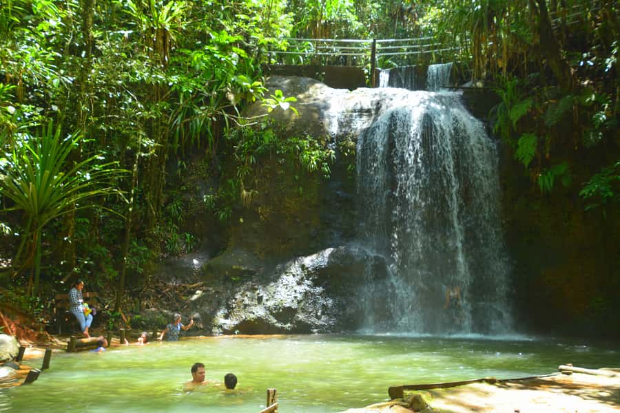 Suva: Fijian Nature and Waterfall Tour - A short walk with real trail conditions