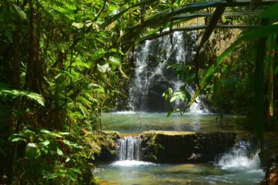 Suva: Fijian Nature and Waterfall Tour