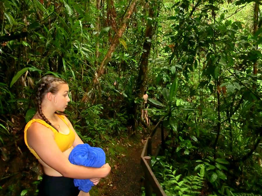 Suva: Fijian Nature and Waterfall Tour - A private tour that feels personal