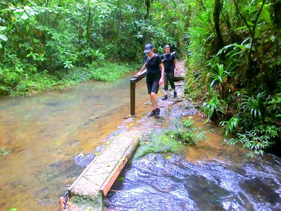 Suva: Fijian Nature and Waterfall Tour - What the US$69 price covers