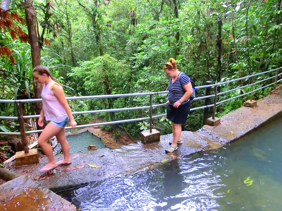 Suva: Fijian Nature and Waterfall Tour - Weather, swimming, and simple preparation