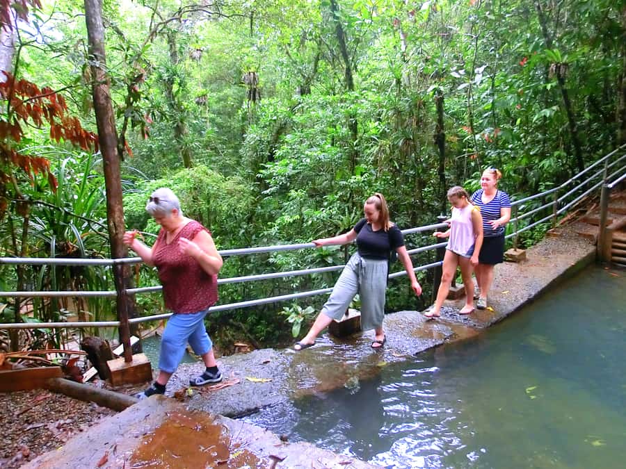 Suva: Fijian Nature and Waterfall Tour - Should you book the Suva waterfall tour?