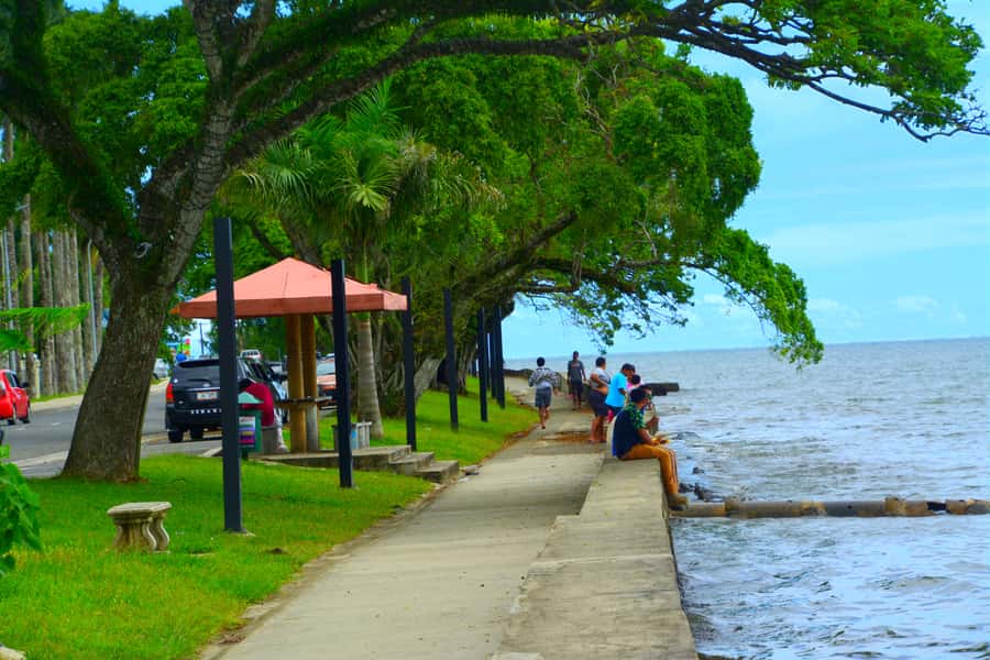 Suva: Half Day City Sightseeing Tour - Colonial and modern Suva after lunch
