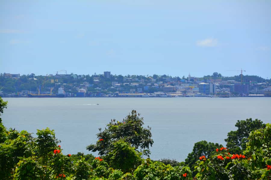 Suva: Half Day City Sightseeing Tour - Transport, timing, and the real value of four hours