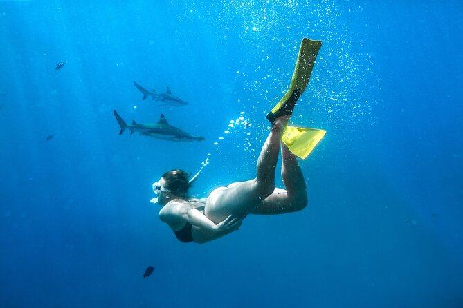 Ultimate Encounter Snorkel with Sharks in Fiji - Getting from Denarau to Kuata Island