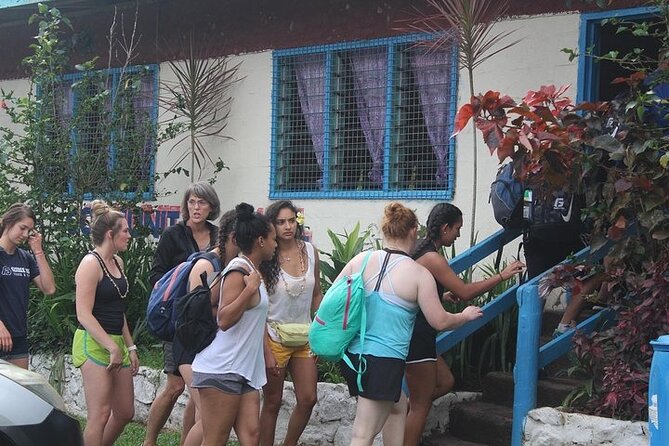 Waterfall and Fijian Village Tour with Light Lunch ex Nadi Area Hotels - From Nadi hotels to the Sigatoka side of Fiji