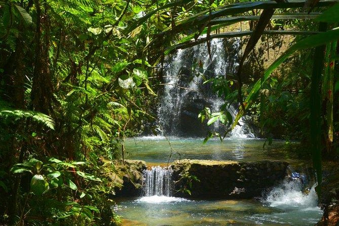 Waterfalls and Nature Tour - A cool change of pace from Suva
