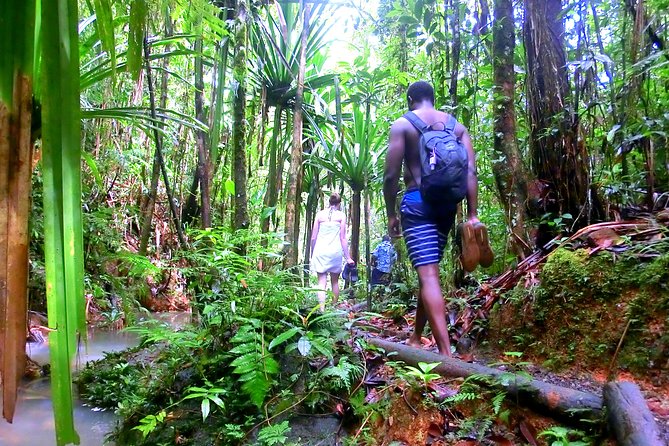 Waterfalls and Nature Tour - A picnic beneath the trees
