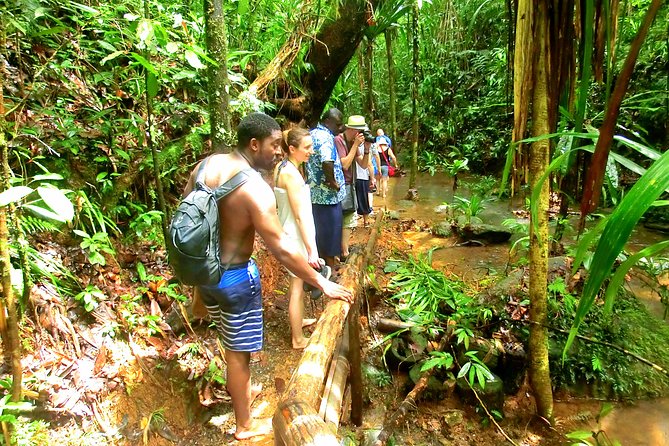 Waterfalls and Nature Tour - How difficult is the walk?